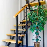 Center Apartment Split